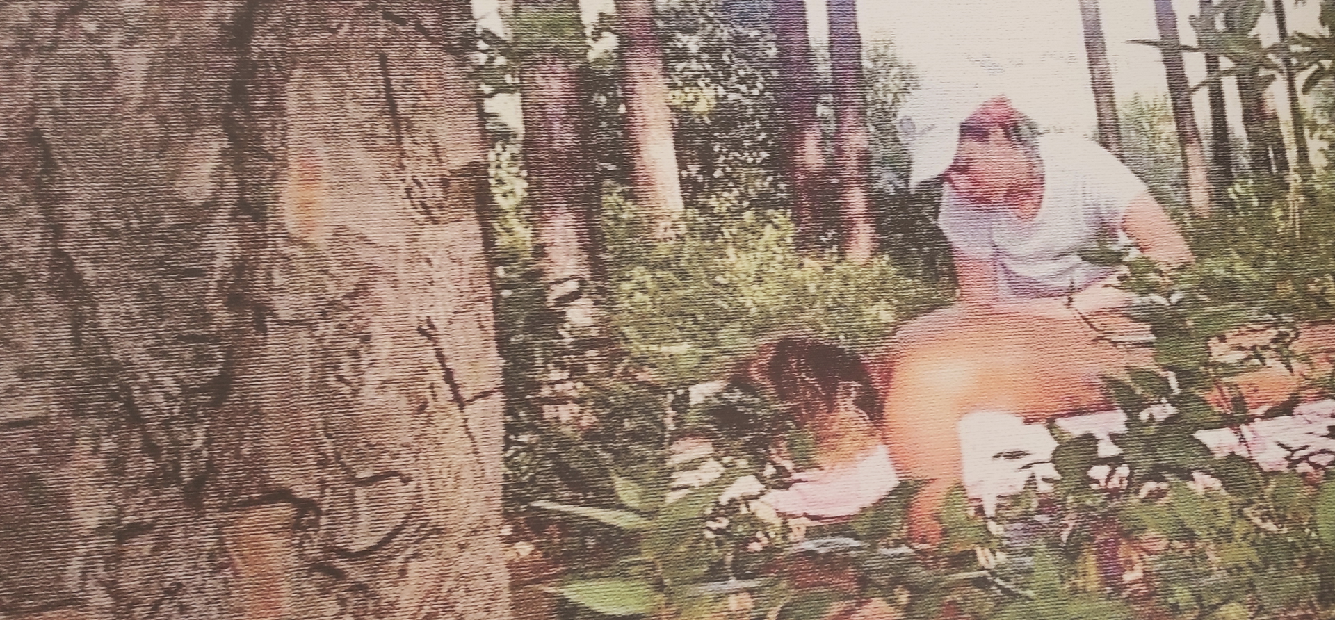 tra-mente-e-corpo-foresta